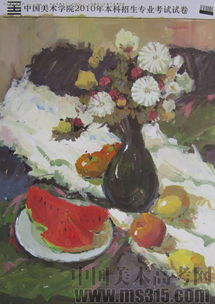 2010年中國美術(shù)學(xué)院設(shè)計(jì)類建筑色彩優(yōu)秀試卷評(píng)析（試卷13）